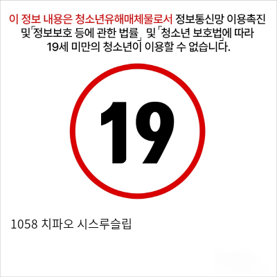 1058 치파오 시스루슬립